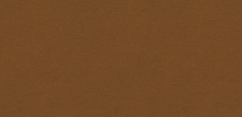 Omni Light Brown Leather Swatch Ethan Allen