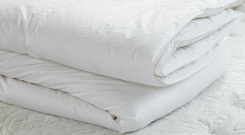 Shop Disney Basic Bedding