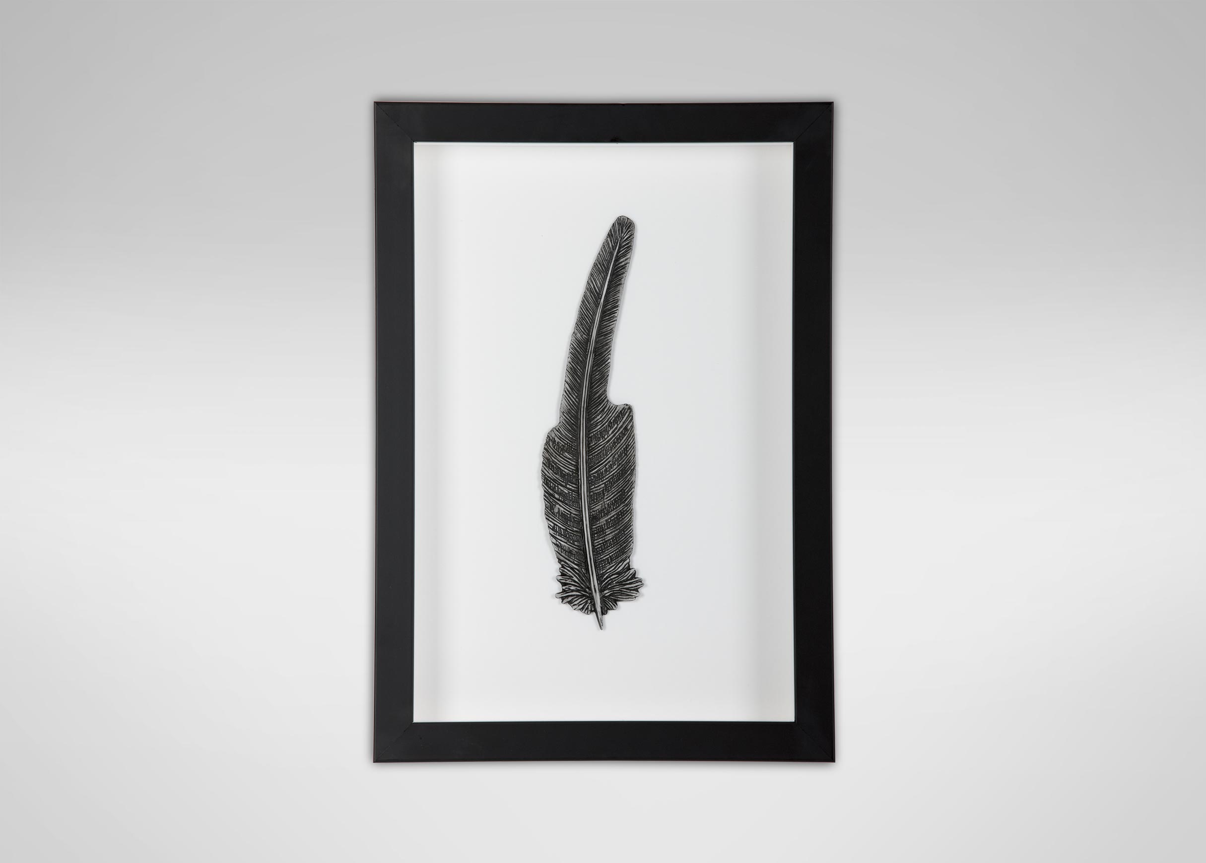 Black Eagle Feather Nature Ethan Allen