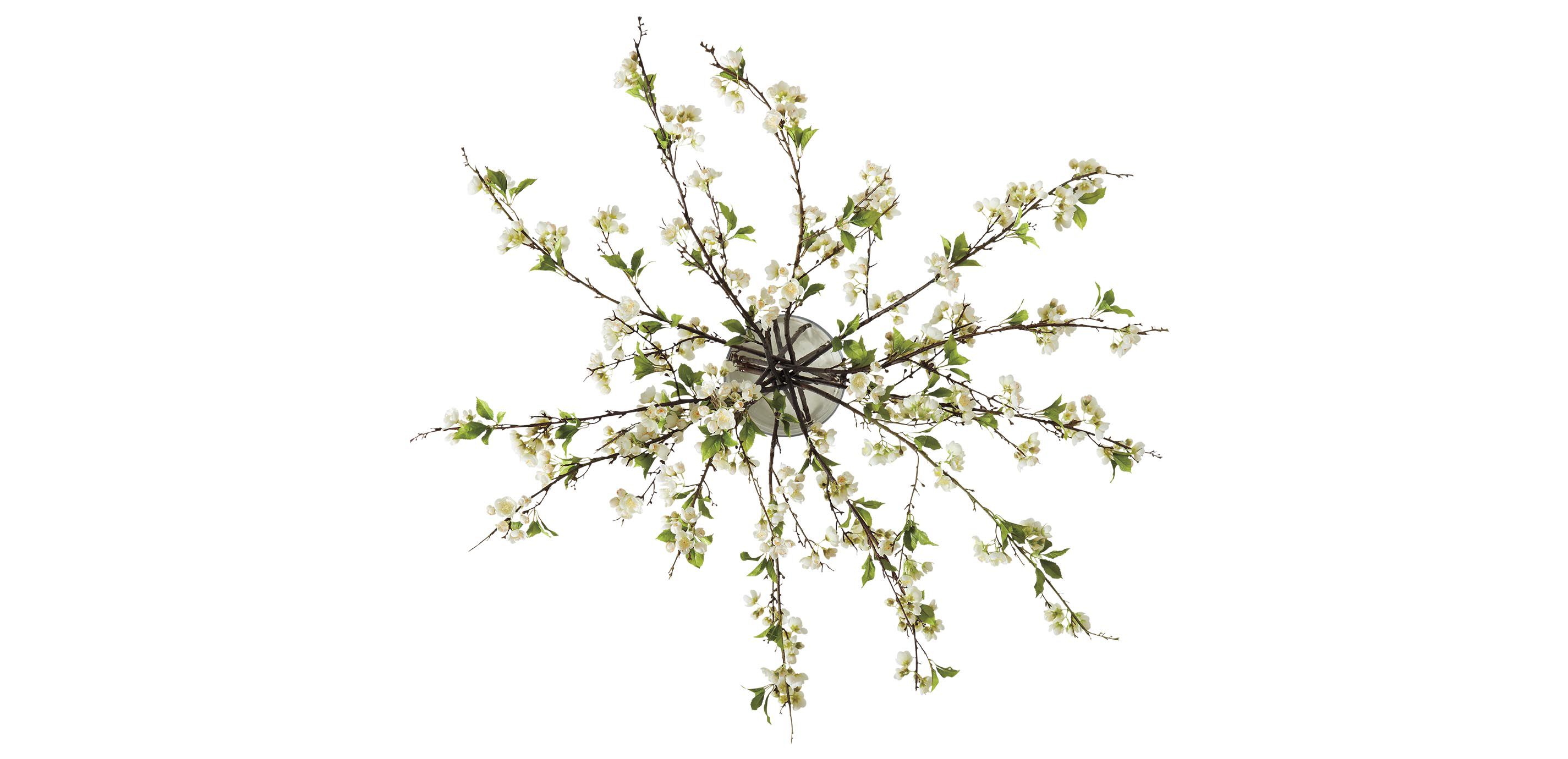 White Plum Blossom Arrangement in Tall Vase_3