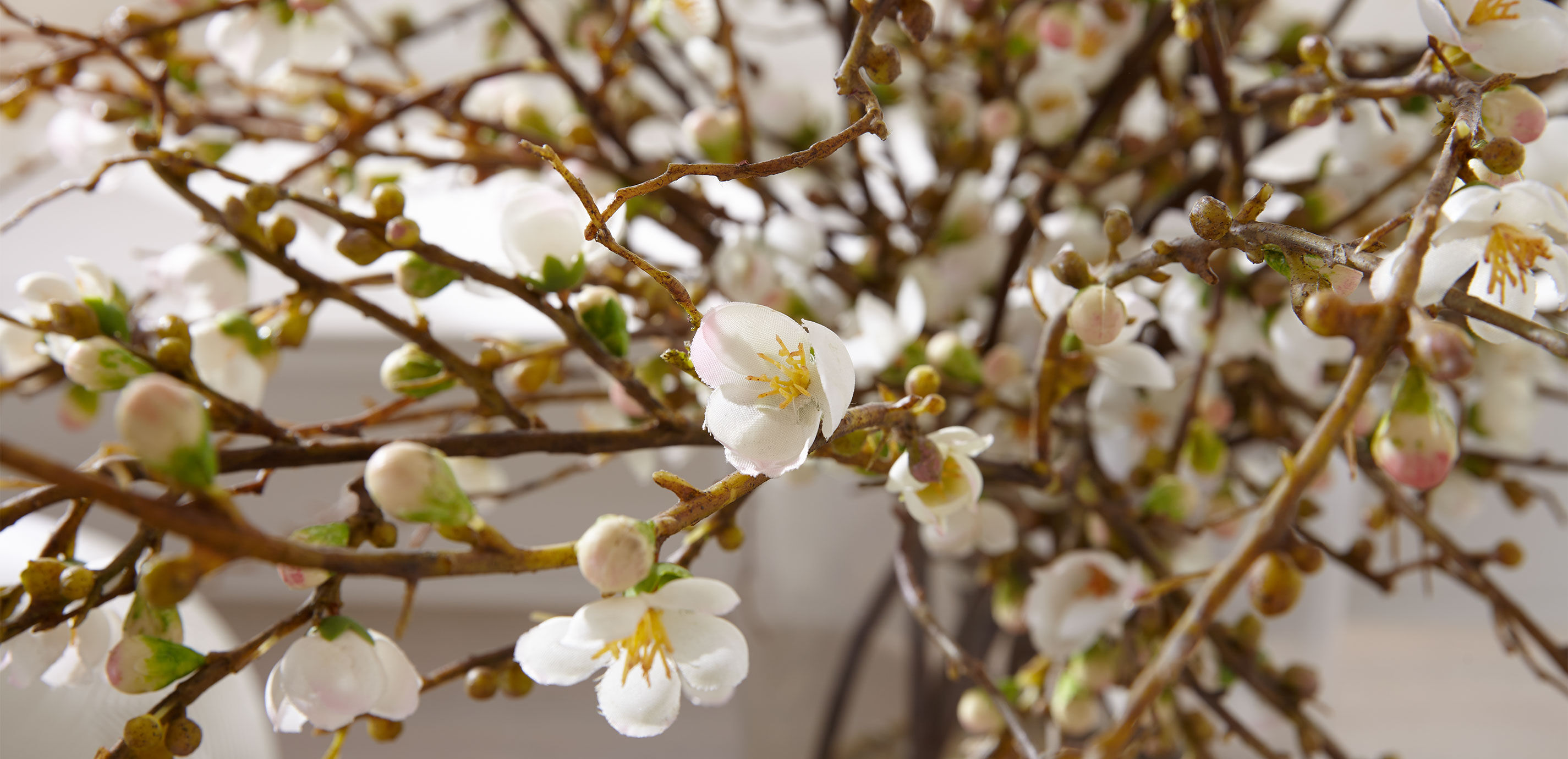 Peach Blossom Watergarden_2