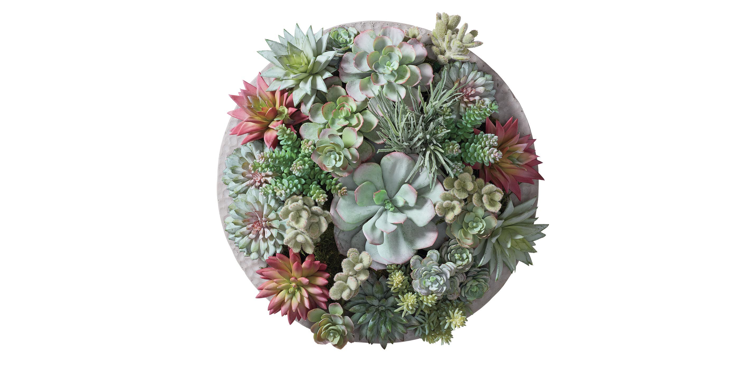 Mixed Succulents in Gray Bowl_3