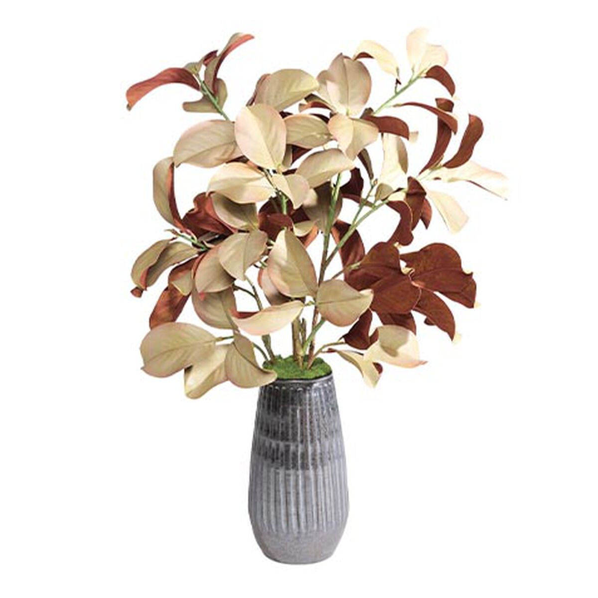 Natural Magnolia Arrangement