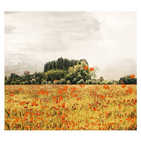 Painted Field image