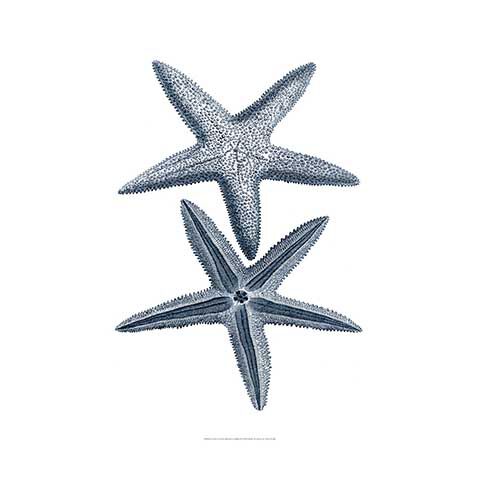 Coastal Collection In Indigo II image