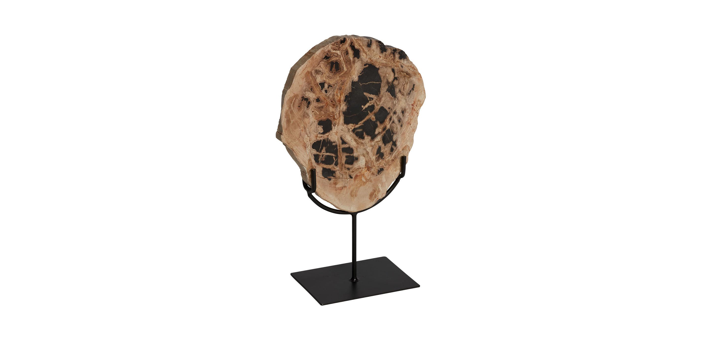 Petrified Wood on Stand_1