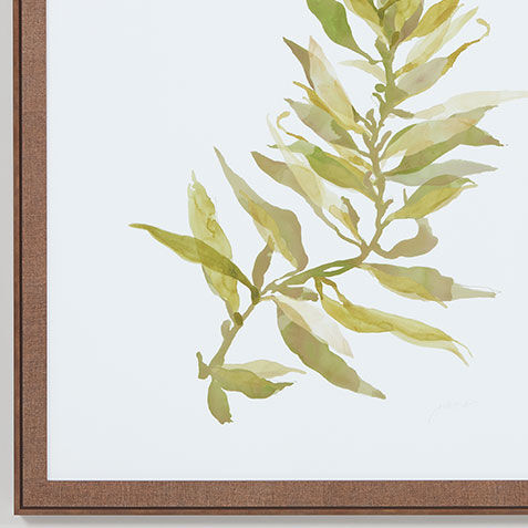 Soft Seaweed Product Tile Hover Image 073261A