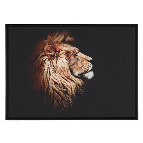 Strayed into Shadow V image