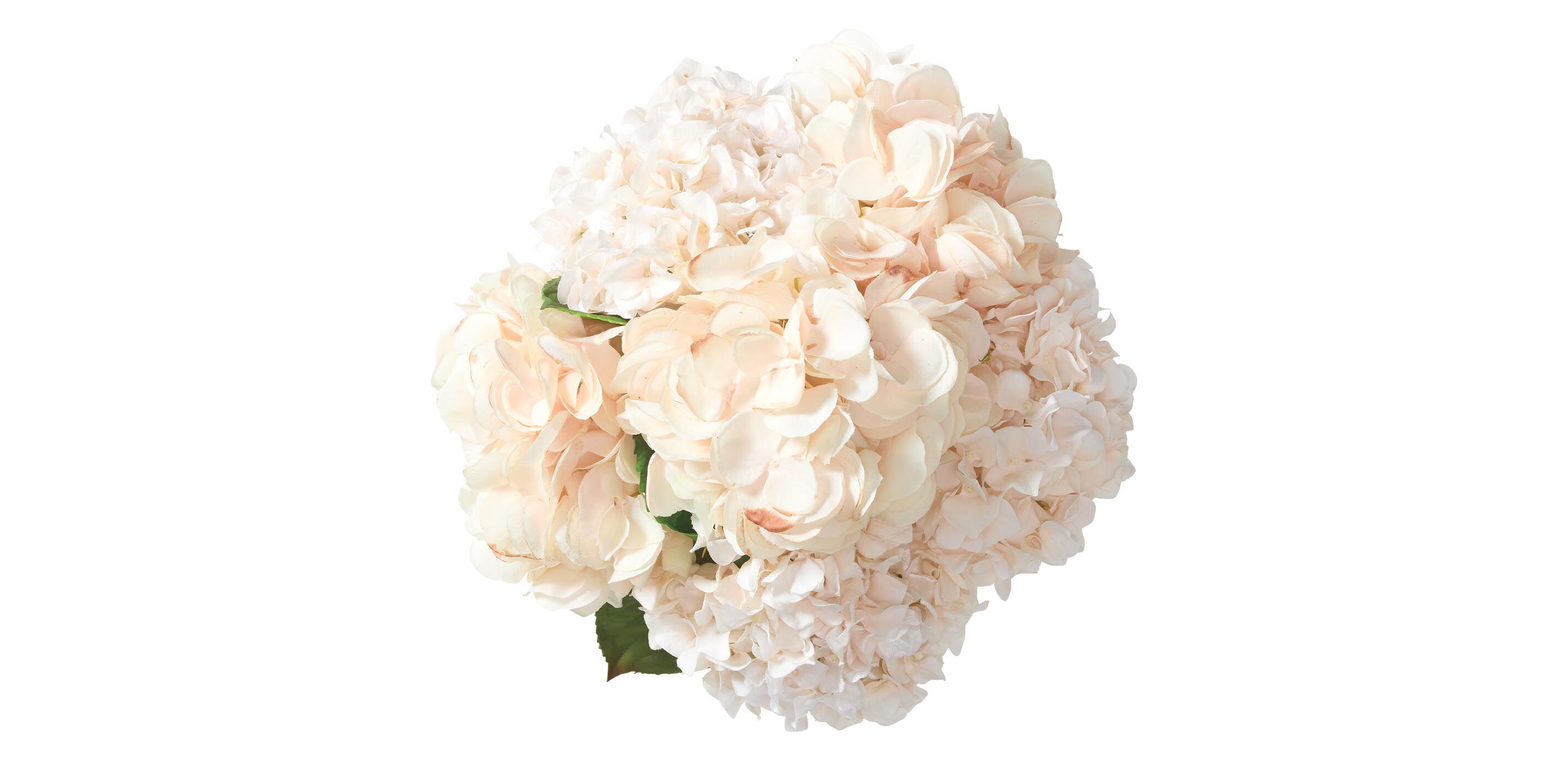 Hydrangea Bouquet in Cut-Glass Vase_3