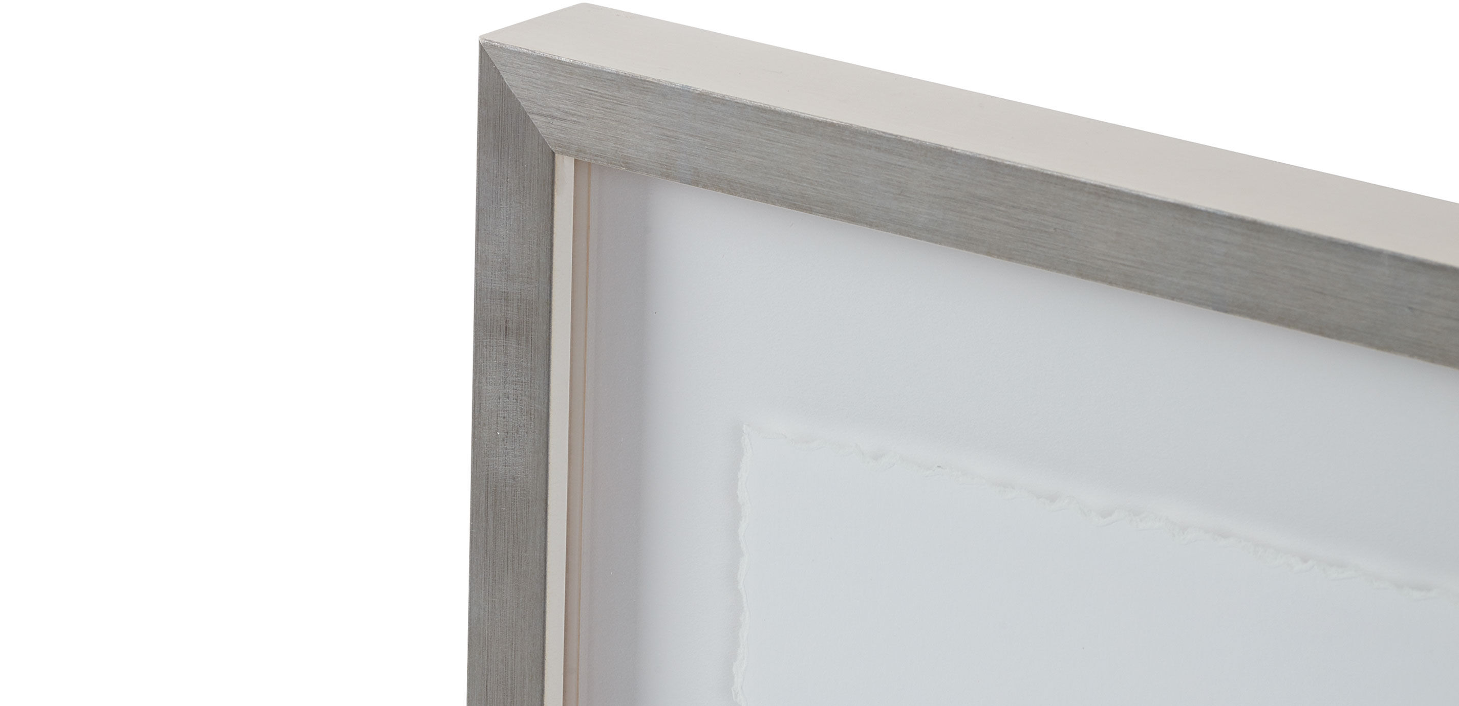 Gestural Bird Study II_2