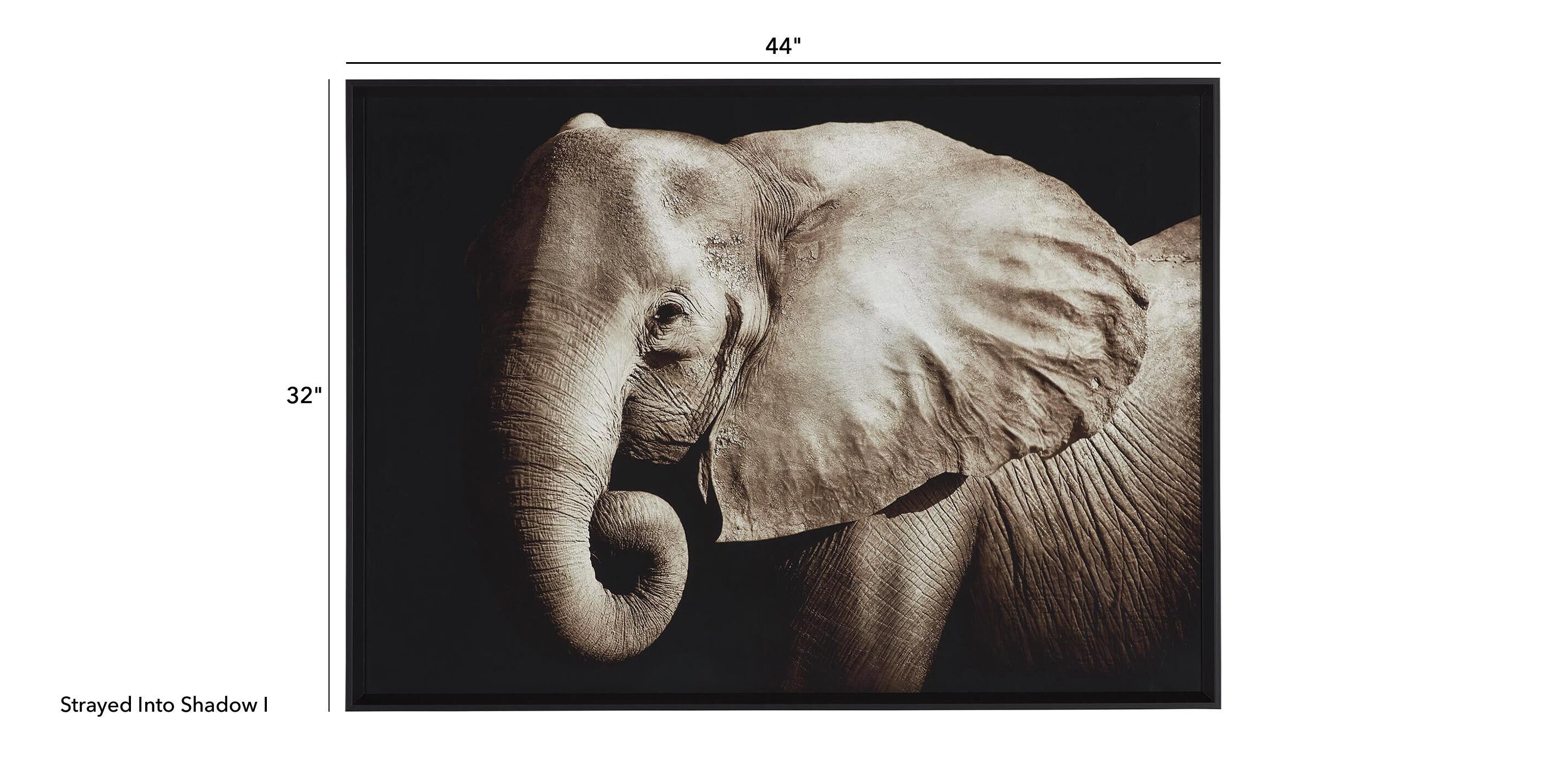 Strayed into Shadow I_1