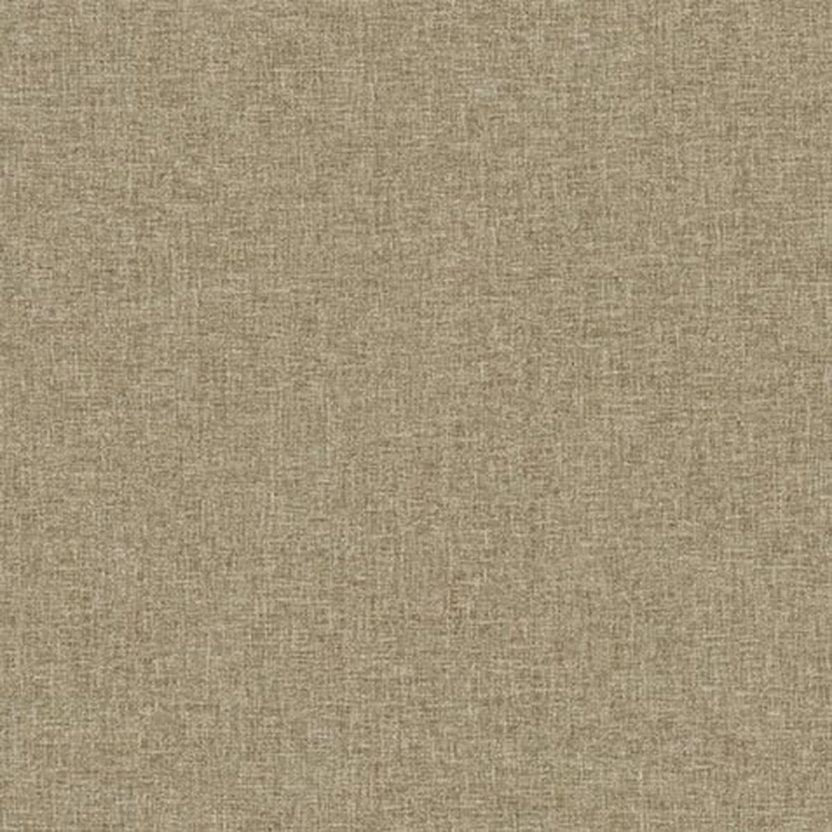 Candid Fabric