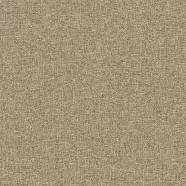 Candid Fabric