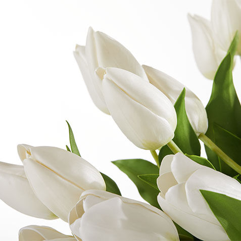 White Tulip Centerpiece in Linear Glass Vase Product Tile Hover Image 443772   WHT