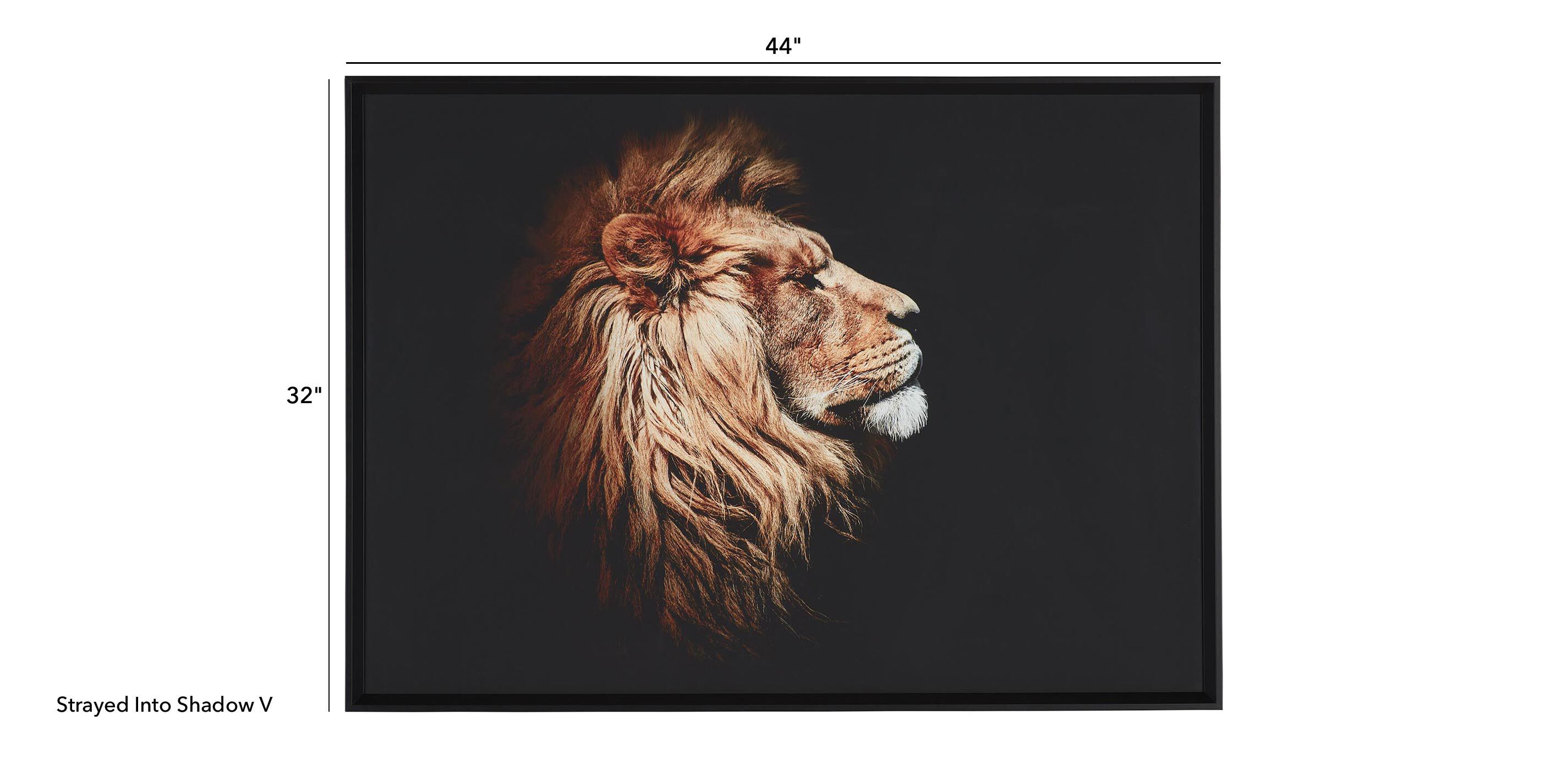 Strayed into Shadow V_1