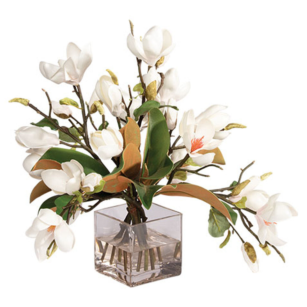 Magnolia Foliage Watergarden in Glass Cube