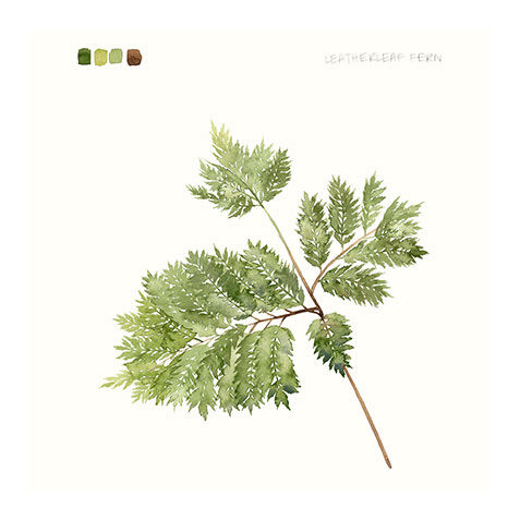 Watercolor Leaf Study II image