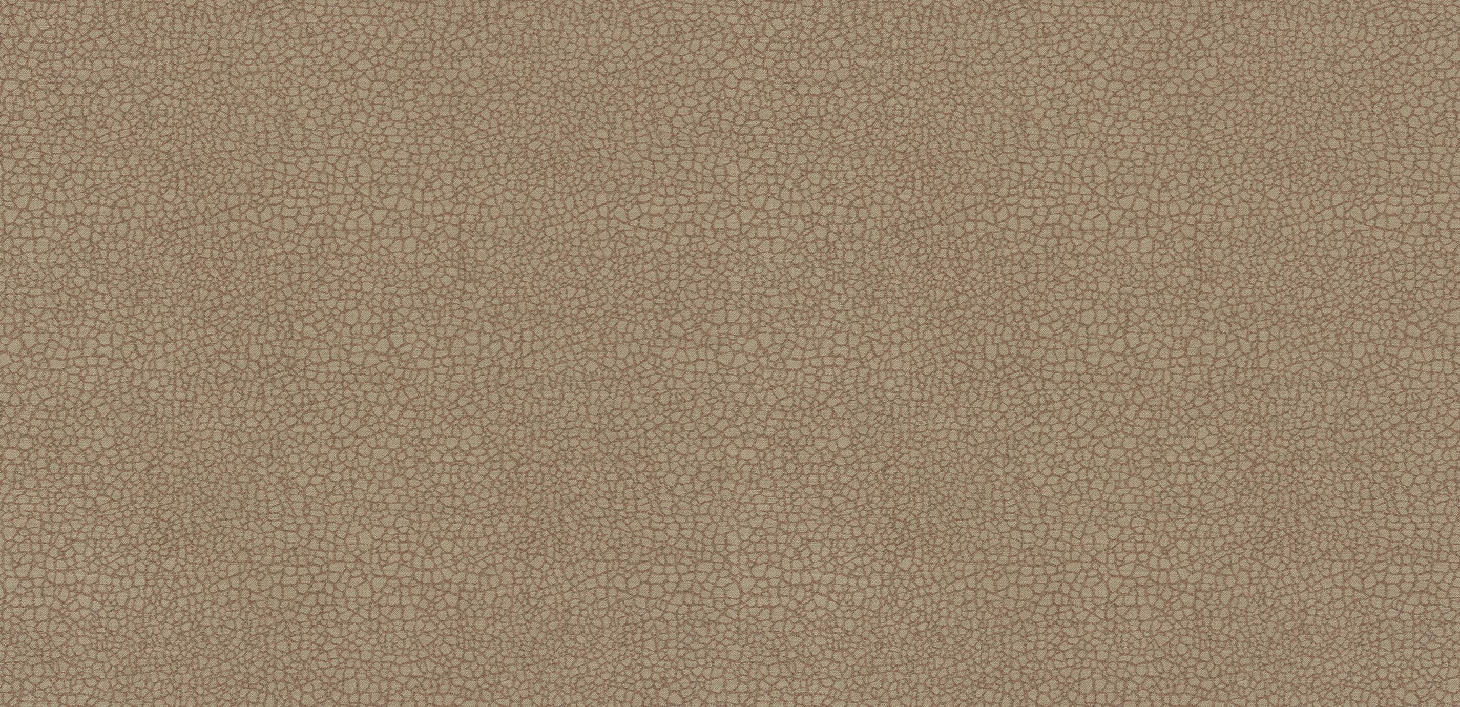 Action Fabric