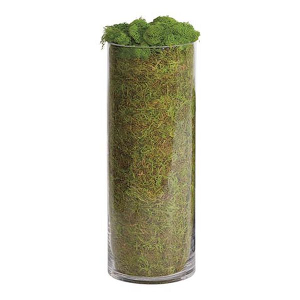 Moss Hurricanes