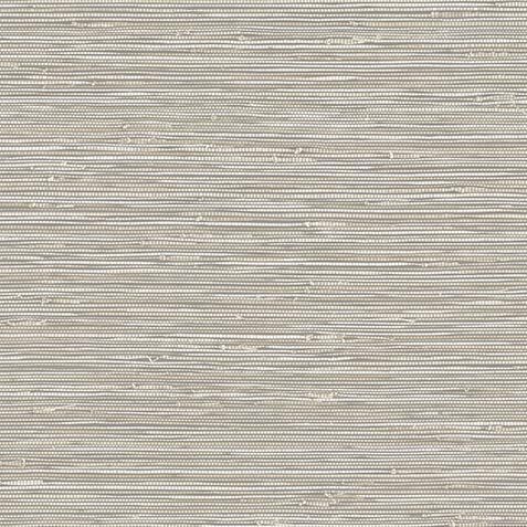 Banni Wallpaper image