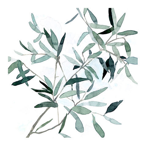 Serene Eucalyptus II image