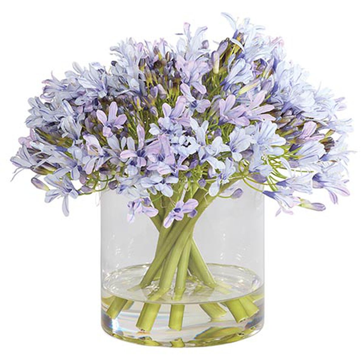 Blue Agapanthus Bouquet in Cylinder Vase
