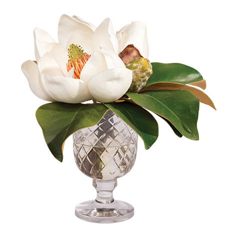 Magnolia Bouquet in Glass Vase image
