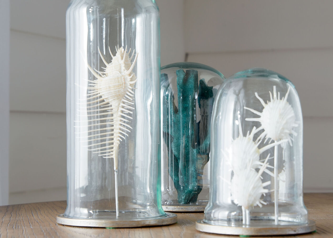 Teal Finger Coral in Cloche | Decorative Objects | Ethan Allen