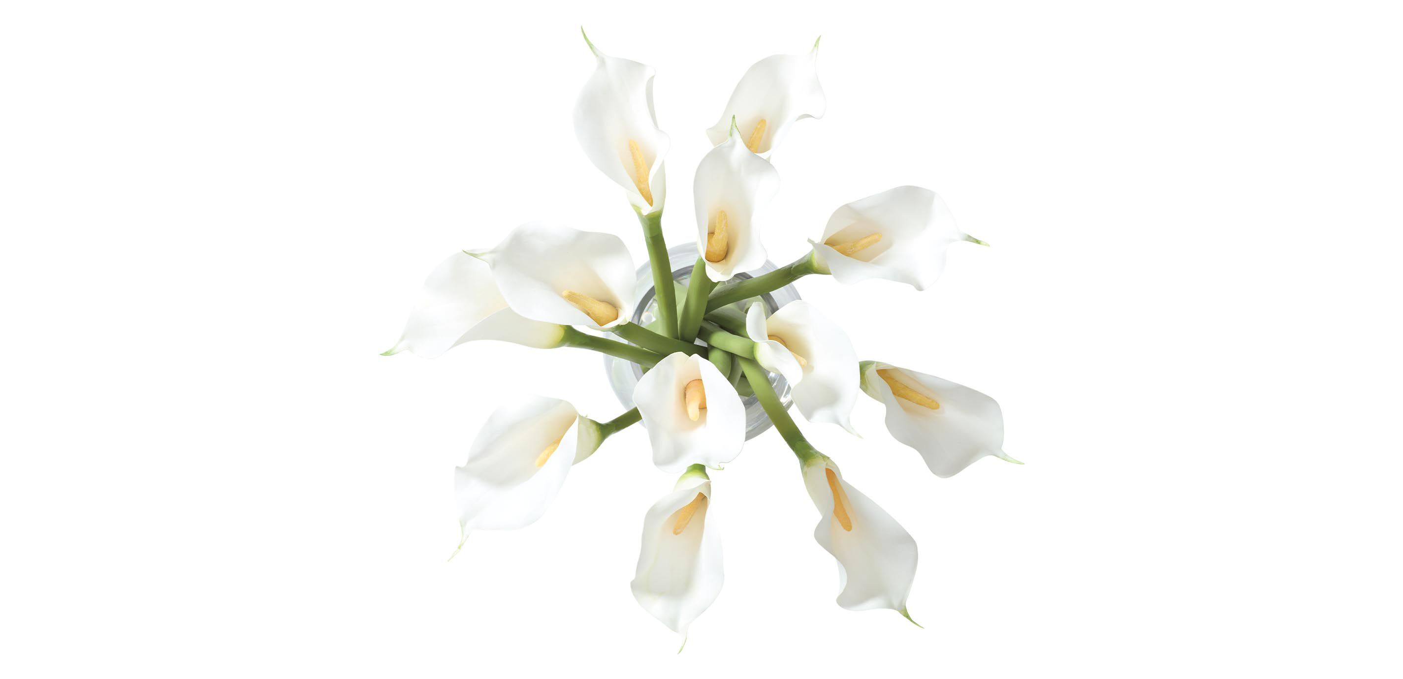 Calla Lily Bouquet in Tapered Glass Vase_2