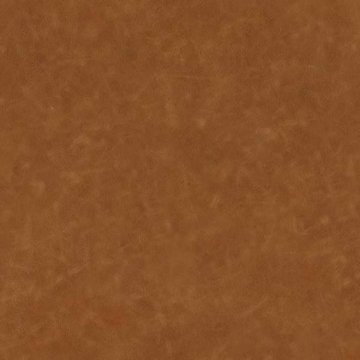 Sundance Leather