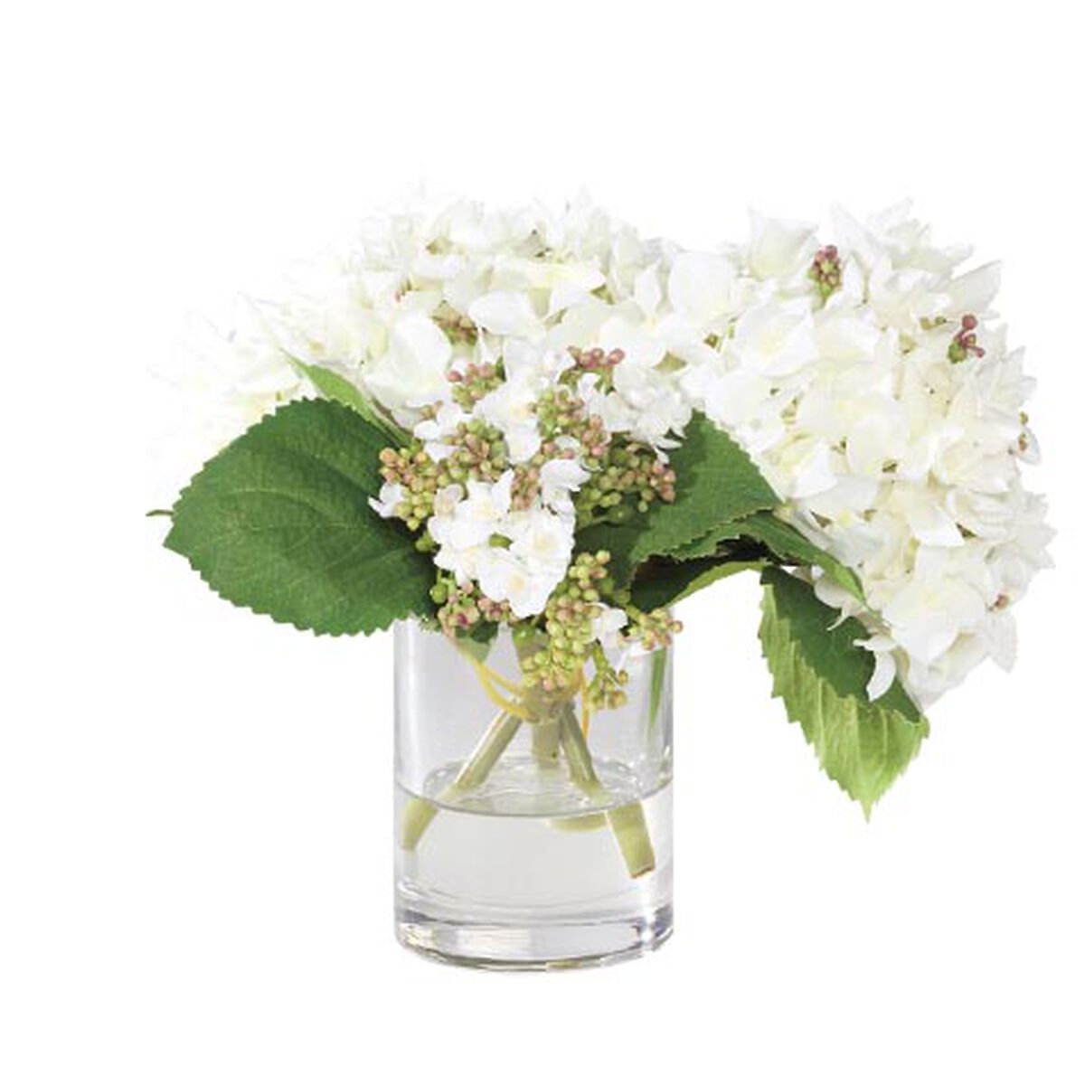 Hydrangea and Buds in Small Glass Vase