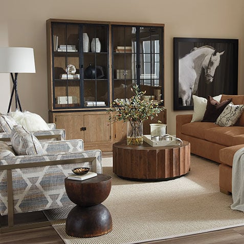 Best furniture for shop living room