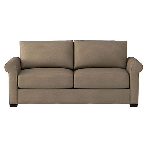 Spencer Leather Roll-Arm Sleeper image