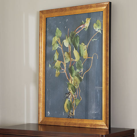 Vigorous Vine Product Tile Hover Image 073273A
