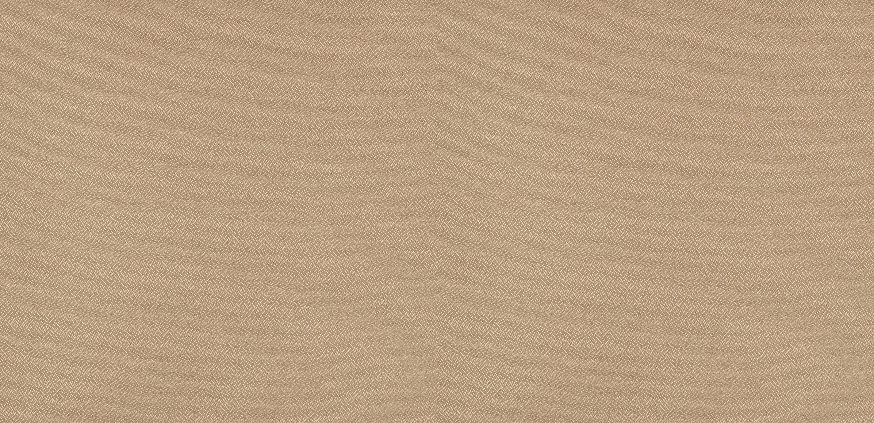 Desi Cashew Fabric By the Yard