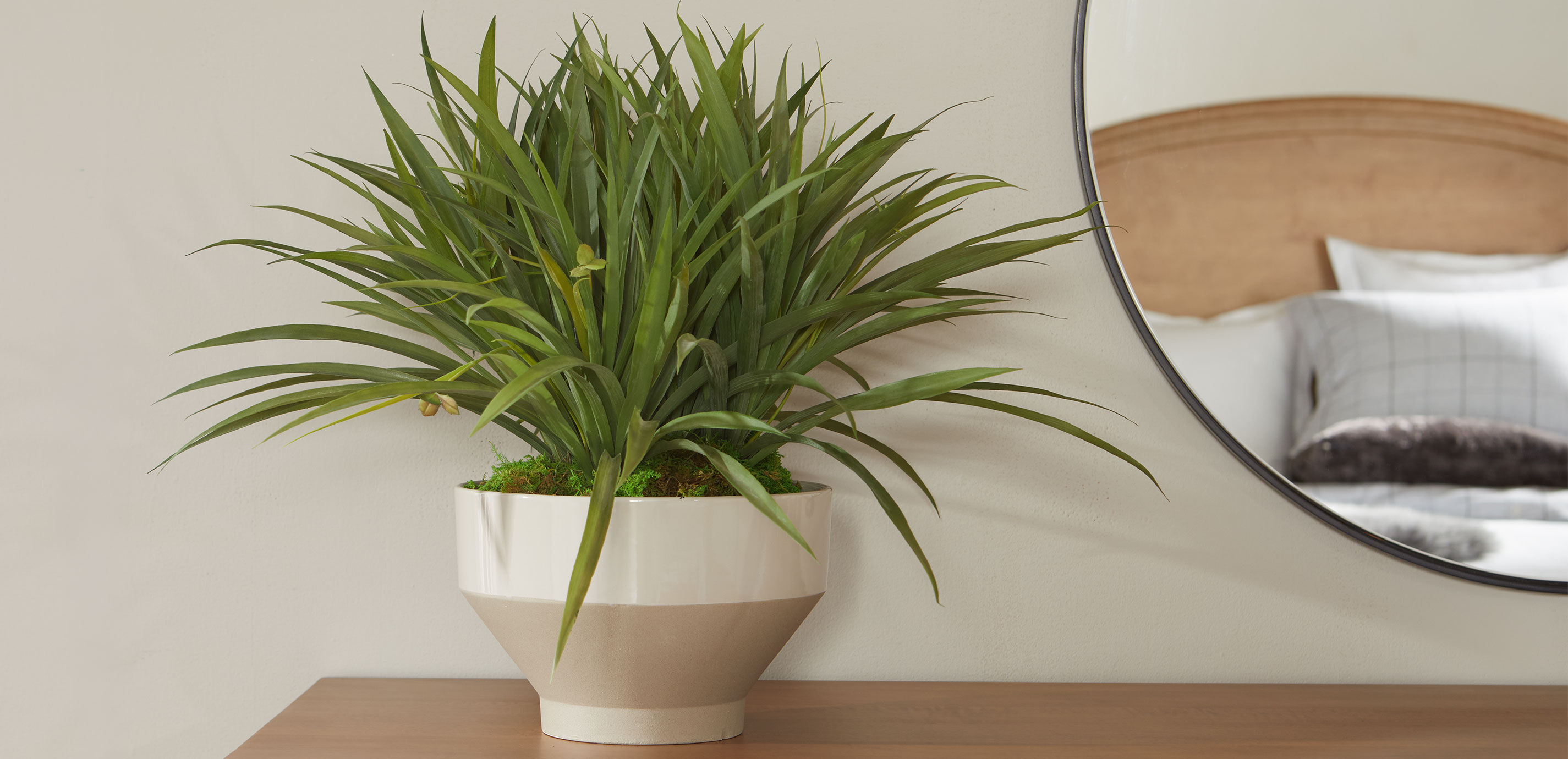 Grass in Tapered White Pot_3
