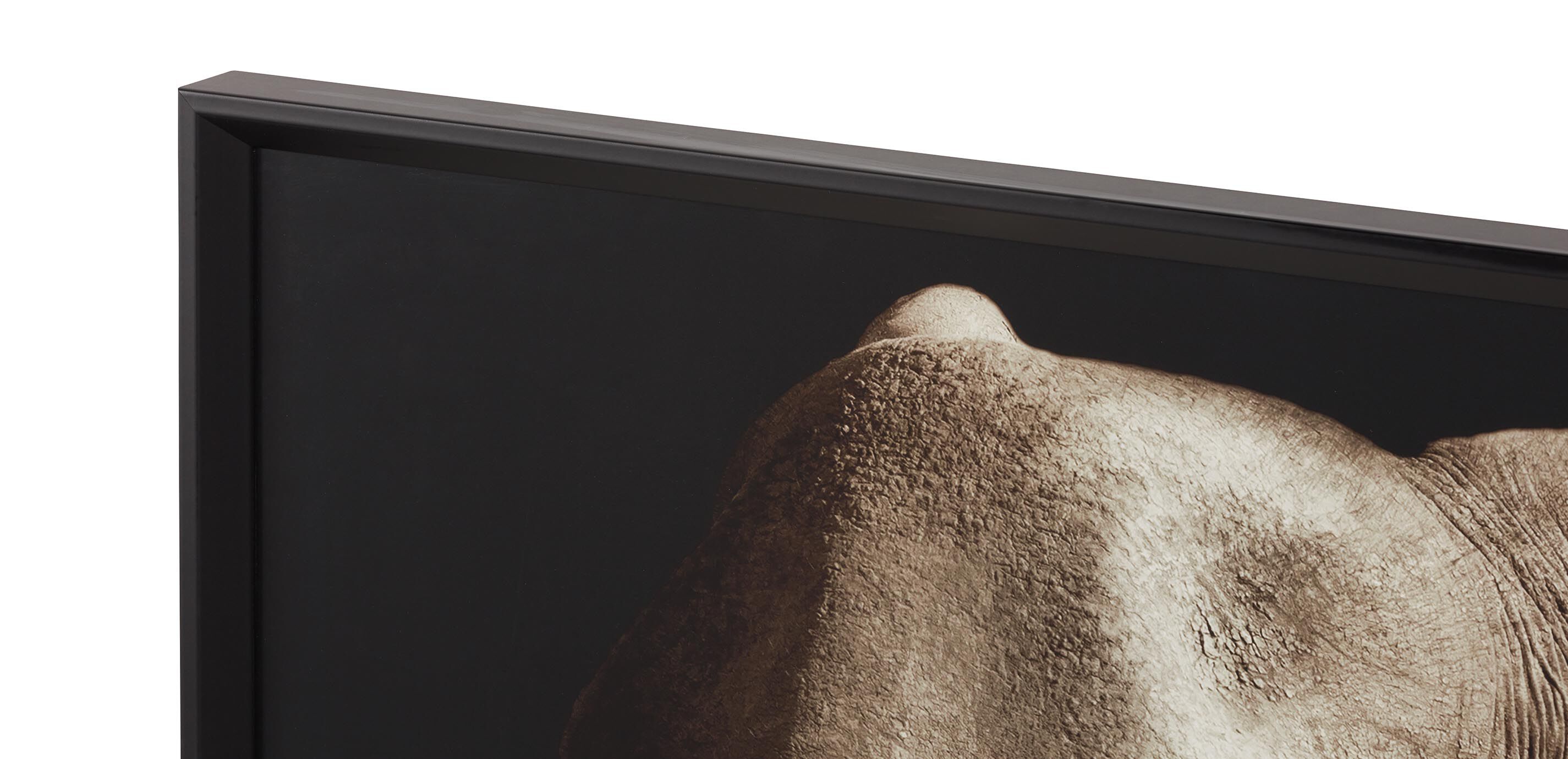 Strayed into Shadow I_2