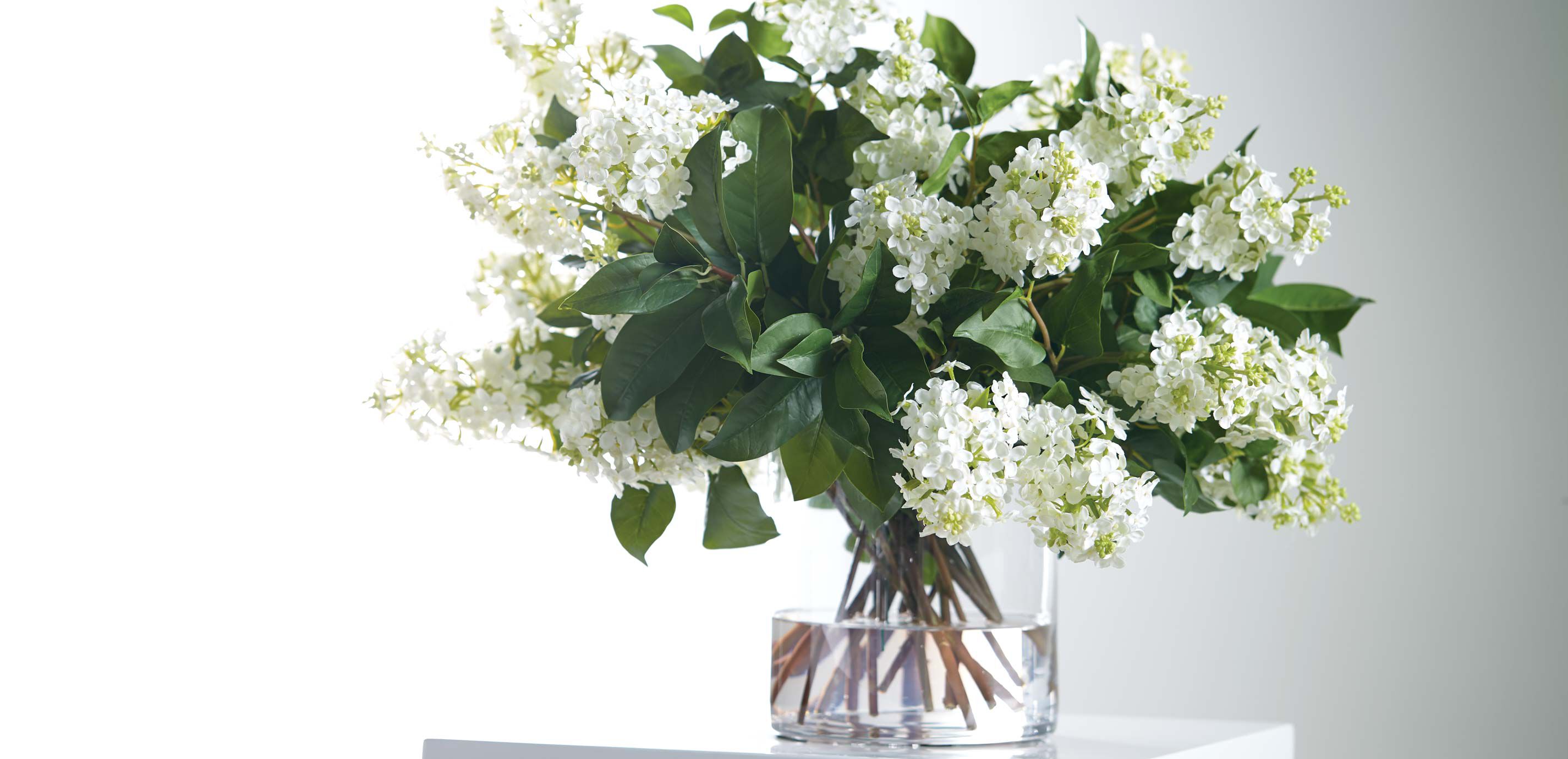 White Lilac Watergarden_1