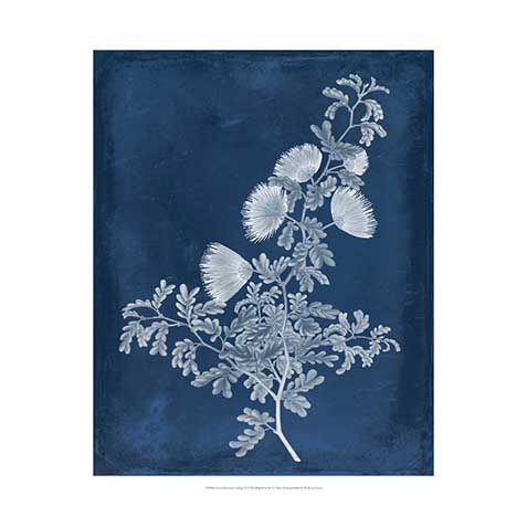 Botanical In Indigo IV image