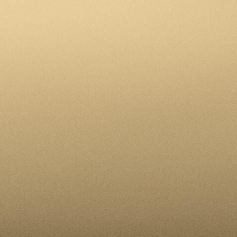 Champagne (10C) Finish Sample image 9824NS      10C