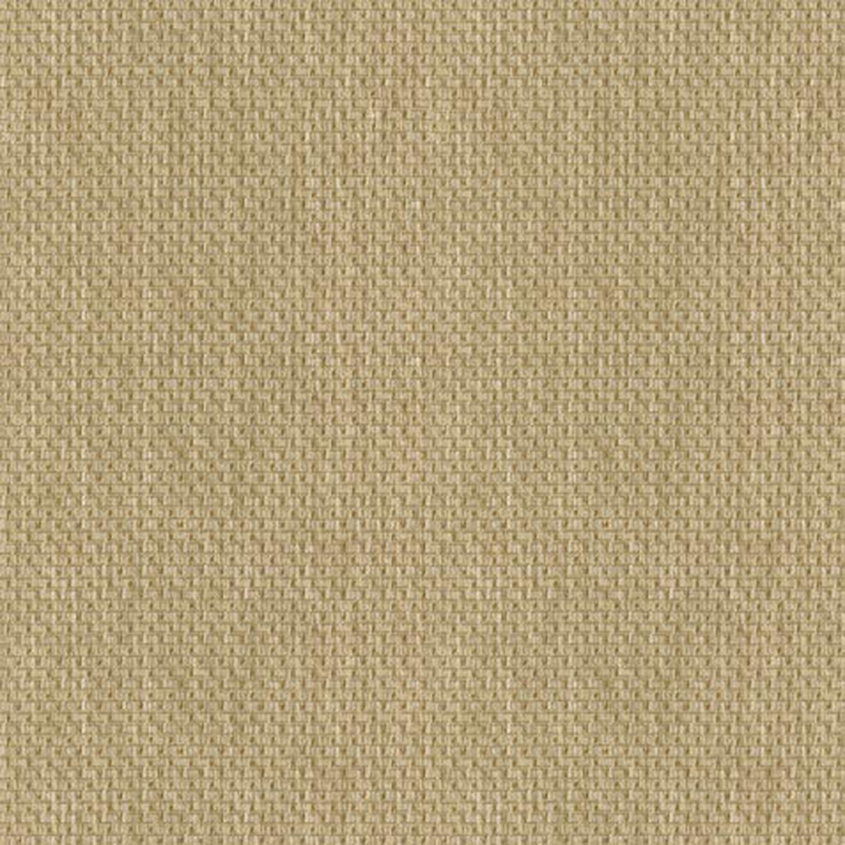 Carney Fabric