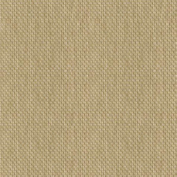 Carney Fabric