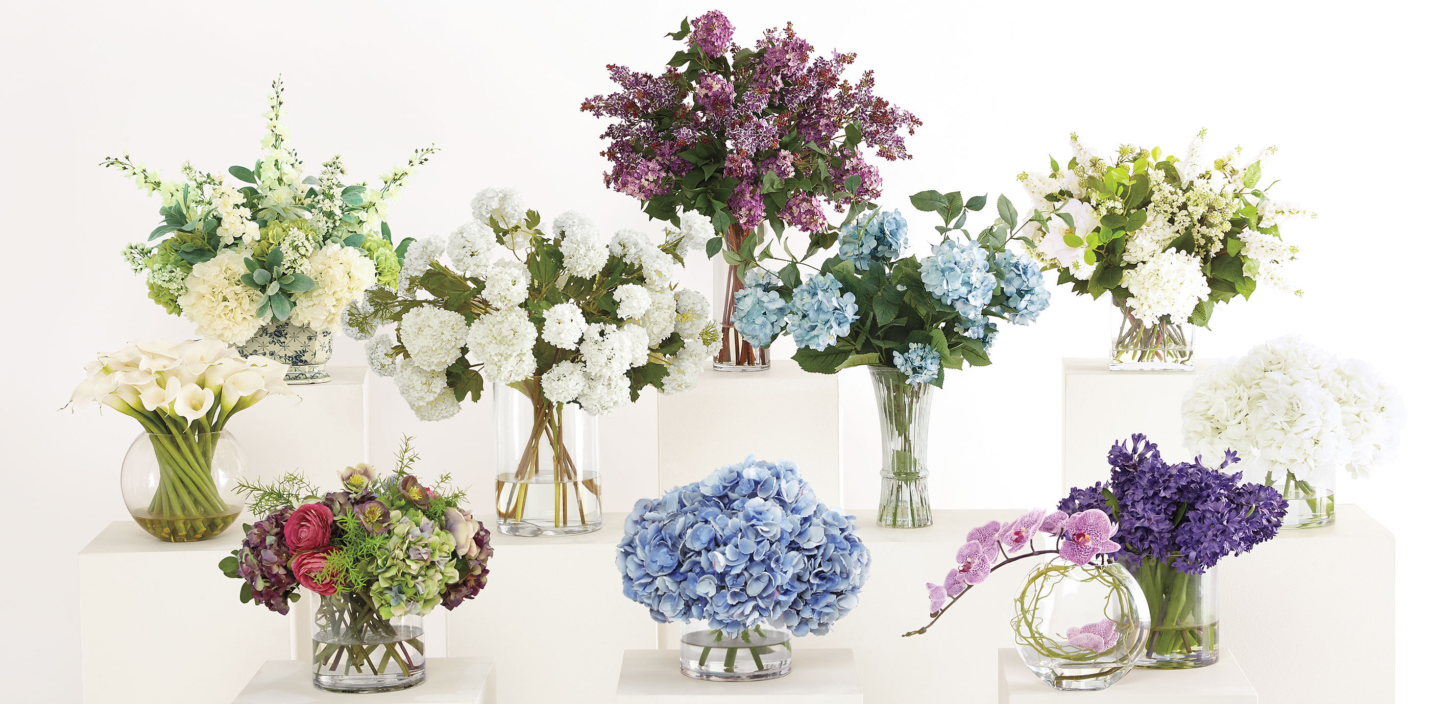 Blue Hydrangea Watergarden_10