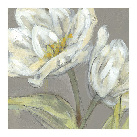Tulip on Gray image