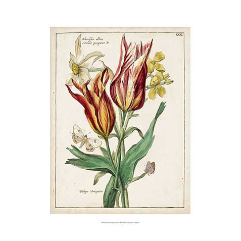 Botanical Bouquet IV image