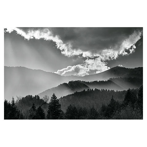 Wood Camp Light image