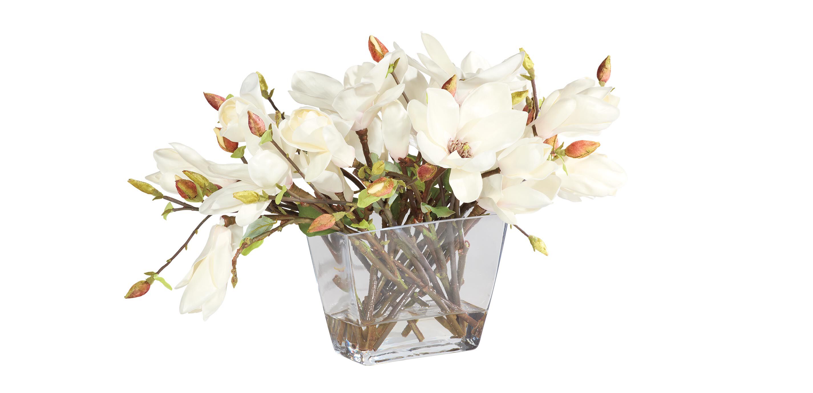 Magnolia Centerpiece in Linear Glass Vase_1