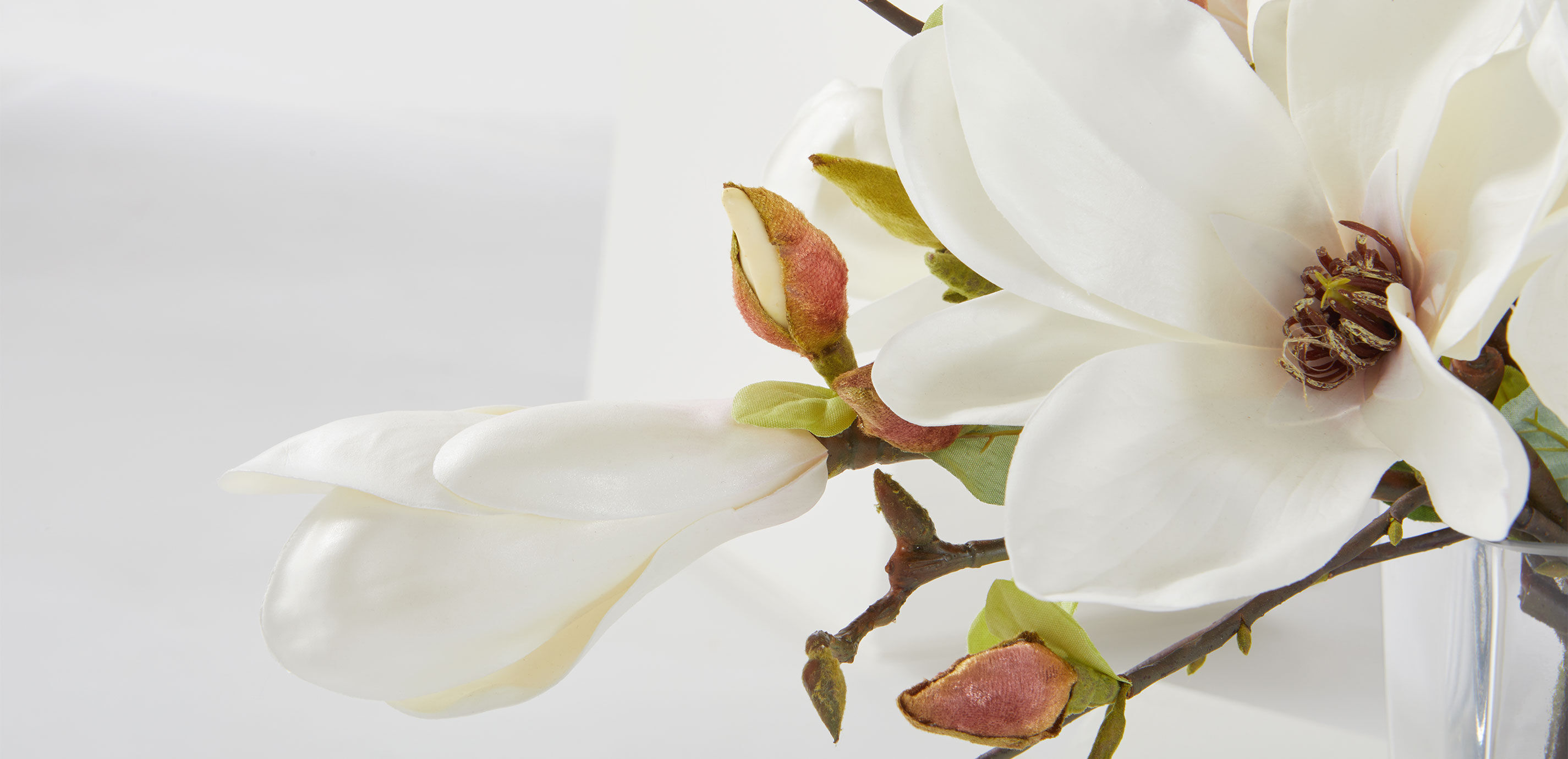 Magnolia Centerpiece in Linear Glass Vase_7