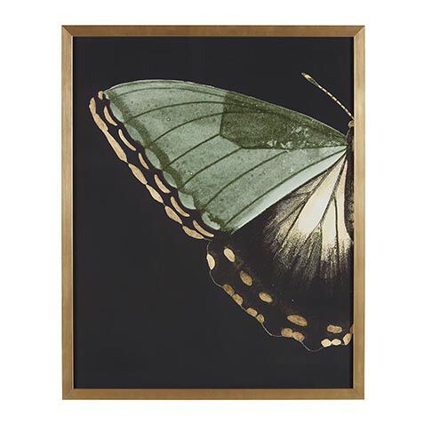 Emerald Wing I image