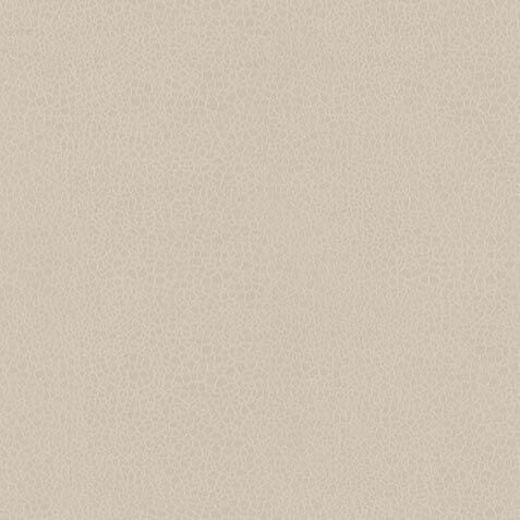 Action Fabric image P37